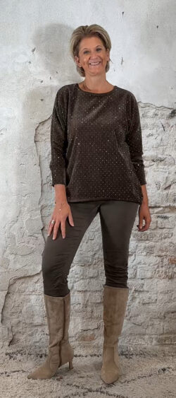 146548. Iris velourse strass sweater bruin