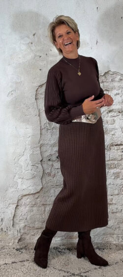 138929. Evy pullover mesh mouw bruin