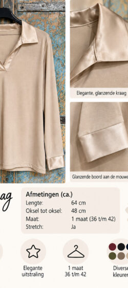 Basic polo longsleeve beige Ailan - 195079