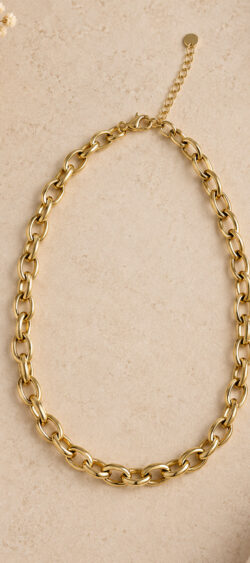 Ketting met ovale schakels goud Sil - 193840