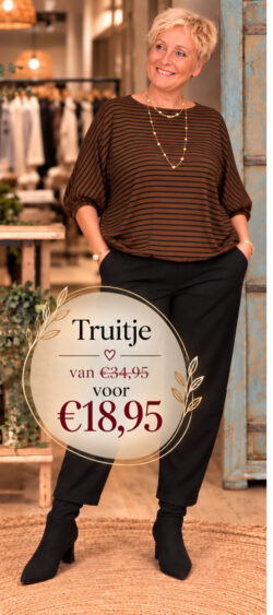 Basic wonder pullover streep bruin/zwart  - Bibi 196314.